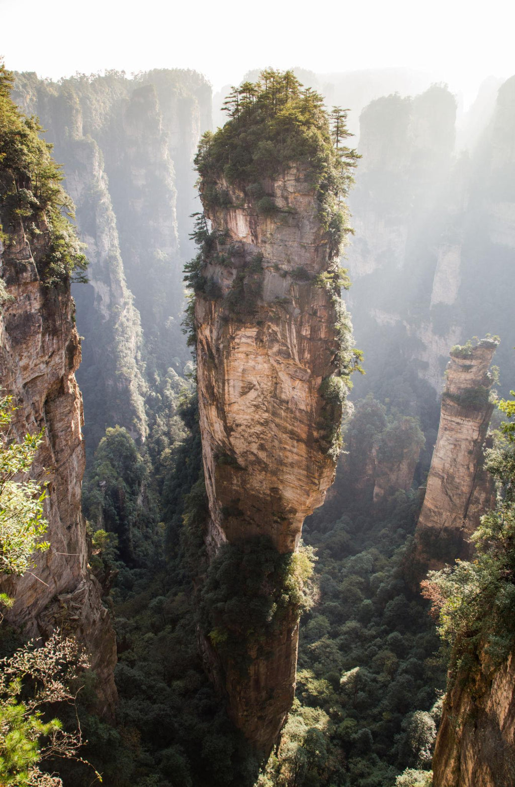 Hunan Zhangjiajie & Changsha 5 Days 4 Nights Tour | Tianmen Mountain & Avatar Mountains