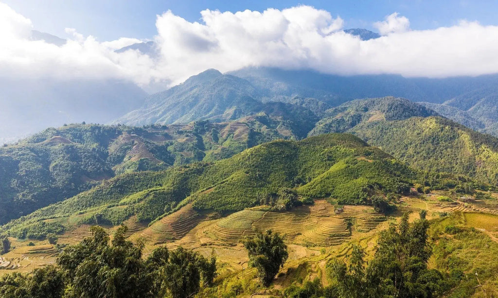 10-Day Vietnam to Laos Mountain Discovery Deep Travel VIP