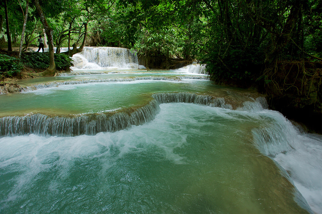 Kuang Si Waterfall Day Trek with Bear Sanctuary Visit