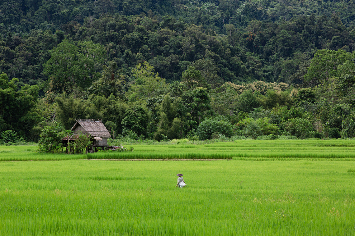 100 Waterfalls Adventure Trek – Full Day Jungle & River Hiking Experience (Nong Khiaw, Laos)