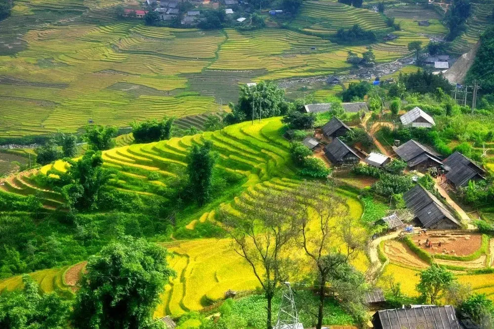 10-Day Vietnam to Laos Mountain Discovery Deep Travel VIP